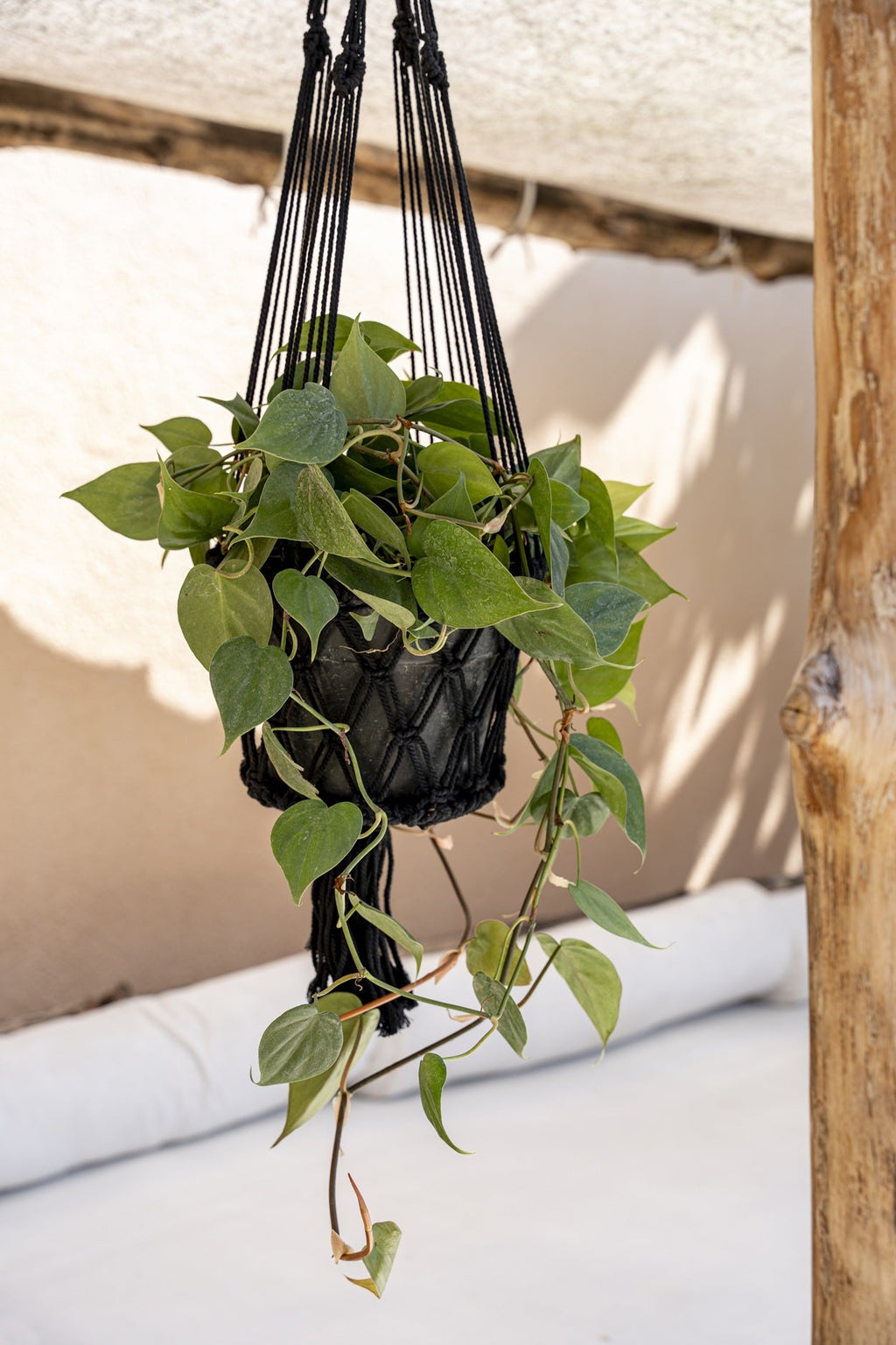 Blumenampel aus Makramee-Baumwolle in Schwarz mit Fransen – H110 cm