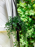 Blumenampel aus Makramee in Schwarz mit Fransen – H100 cm