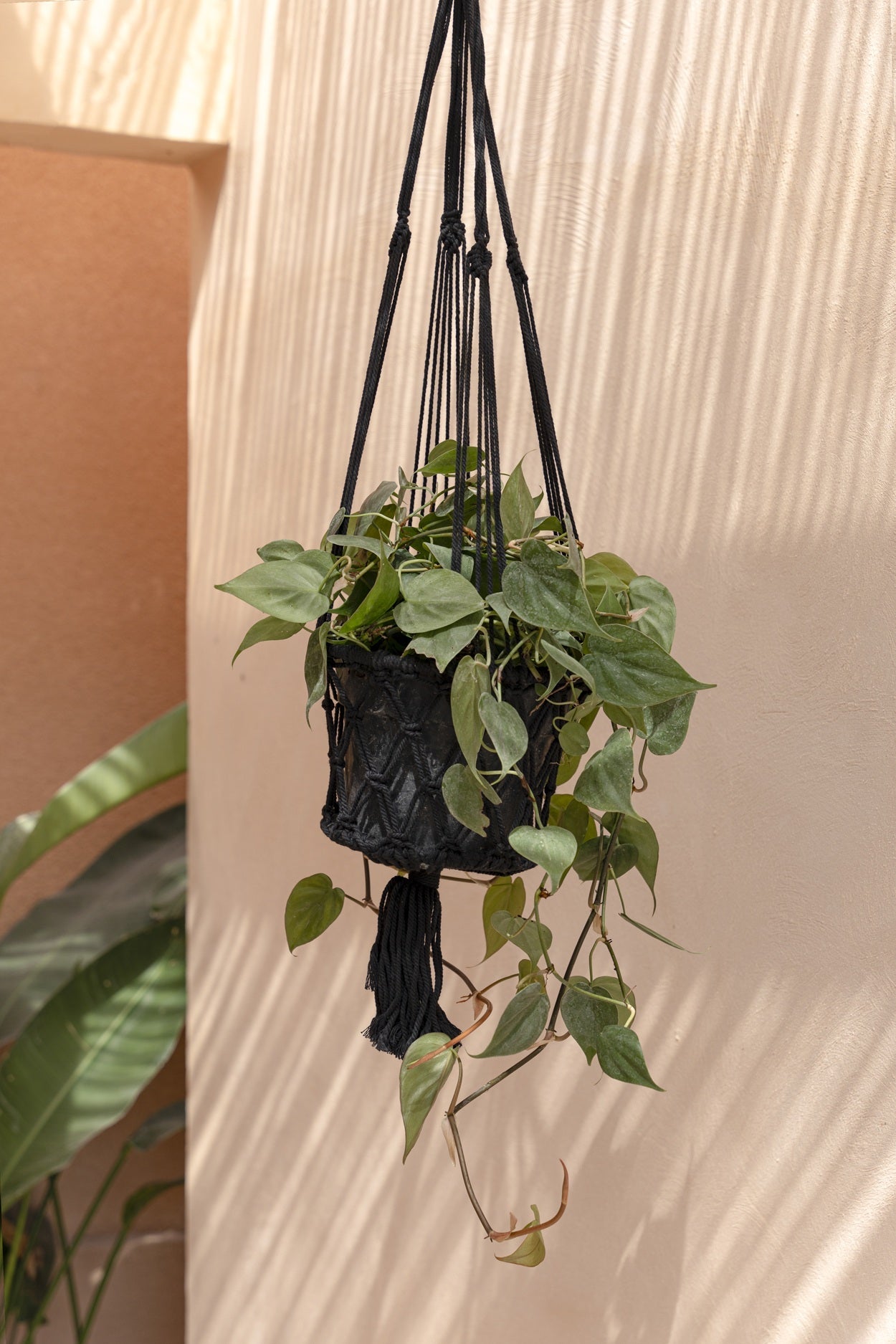 Blumenampel aus Makramee in Schwarz mit Fransen – H100 cm