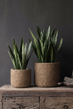 Übertopf aus Beton in Beige mit Flechtoptik – Ø26 cm