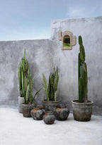 Terrakotta-Vase in Antikgrau 19 cm für Trockenblumen