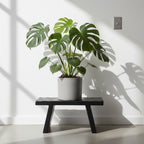 Couchtisch aus Mangoholz mit Schnitzdekor in Schwarz, eckig – 40x25 cm