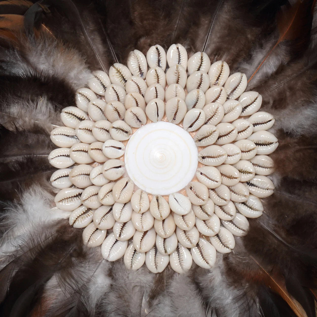 Décoration murale ronde en plumes noires et brunes centre en coquillages – Ø50 cm