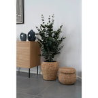 Eucalyptus dans un panier en jacinthe d’eau naturel ø30 cm assemblé