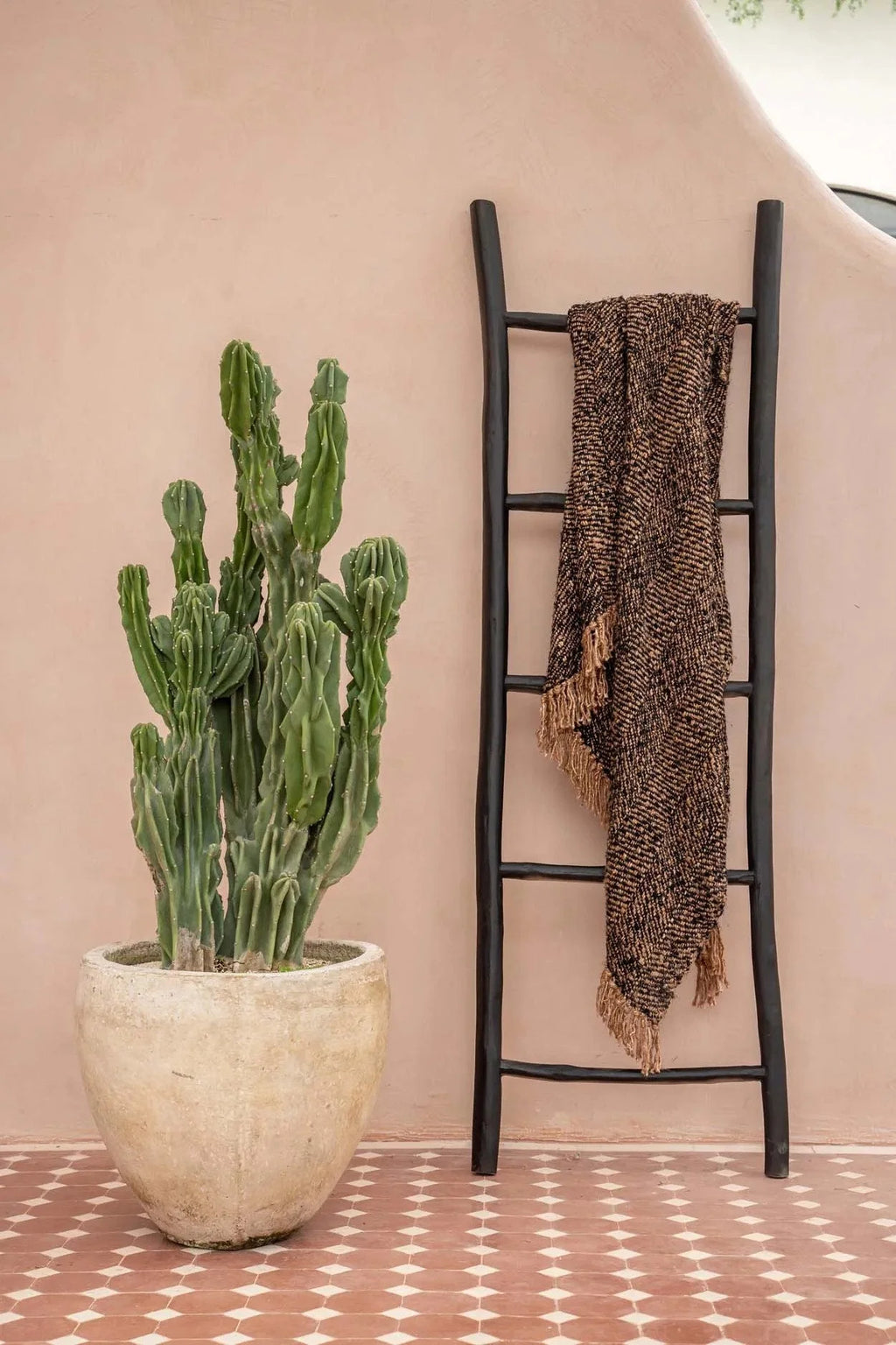 Cactus vert à plusieurs tiges dans un pot texturé clair pour la décoration intérieure