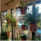 Plantes suspendues en macramé en coton naturel avec franges pour décoration intérieure